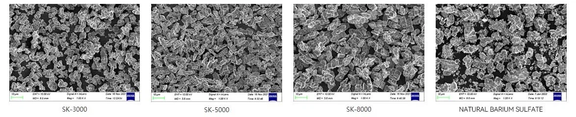 Ambition Materials Light Diffusion Barium Sulfate model SK SEM picture